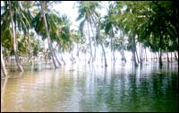 Ganapathypuram village in Kanyakumari district