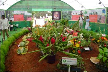 People of Bengaluru enjoy the flower show