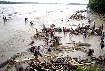 A scene from flood-hit Assam. Photograph: Reuters