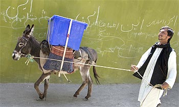A donkey carries poll-related material in Afghanistan.