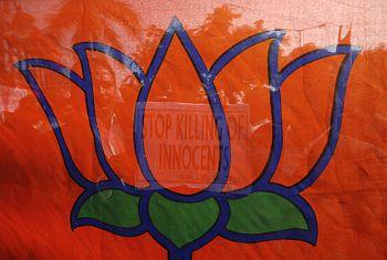 BJP supporters hold up the party's flag