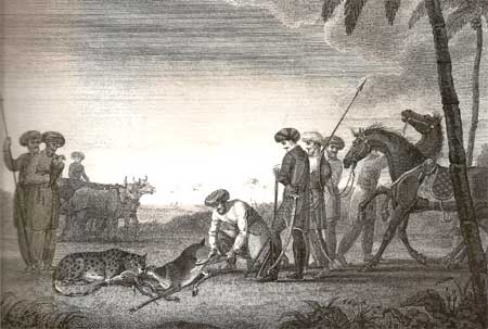 Hunting the black buck with a cheetah, a sketch byJames Forbes in South Gujarat
