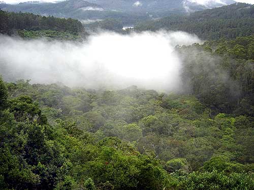 The misty mountains of Kodaikanal