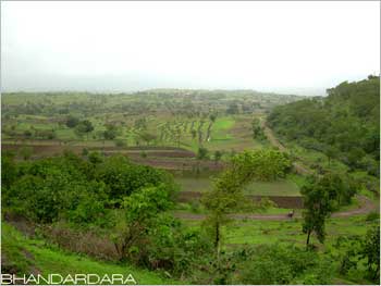 Lush green Bhandardara, a weekend destination in Maharashtra.