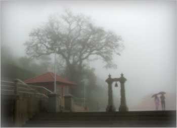 Rain drenched morning at Talakaveri, Coorg , Karnataka..