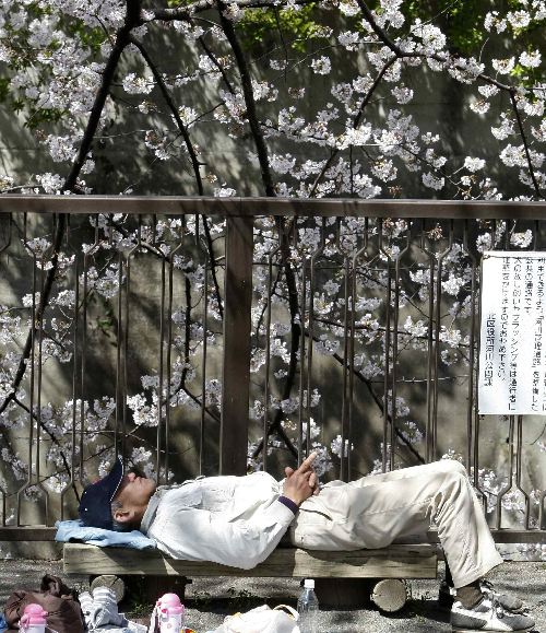 A man takes a nap underneath a tree at a park in Tokyo