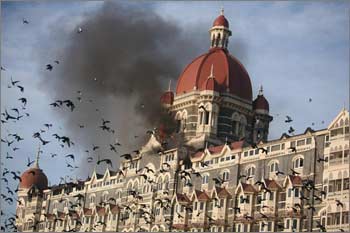 Pigeons fly near the burning Taj Mahal hotel.