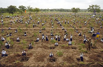 Schoolchildren plant trees during 'one day one lakh plantation programme' on outskirts of Hyderabad