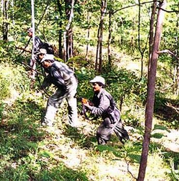 A file photograph shows a Maoist training drill