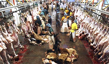 A market in Riyadh where camel meat is sold
