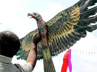 A teenager tries to fly a bird shaped-kite at the Bangalore kite festival