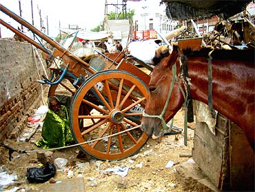 A 'tonga' lies in neglect near the Delhi railway station