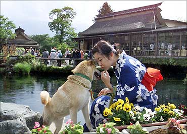 A young woman plays with her dog at a lake at Oshino village, at the foot of Mount Fuji, Japan