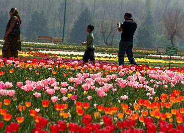 A million tulips bloom in Kashmir