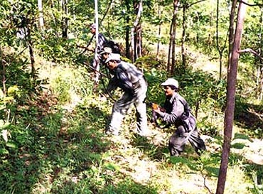 A file photograph of Maoists in a Chhattisgarh jungle