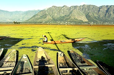 Still waters: The picturesque Dal Lake in Srinagar