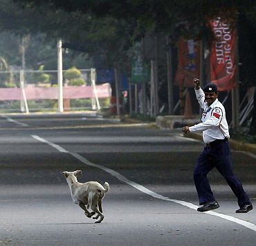 File photo shows a traffic official chasing a stray dog off the marathon course during the men's and women's marathon final at the Commonwealth Games
