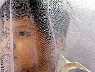 A boy sits inside a mosquito net at home after being discharged from a hospital in Kolkata