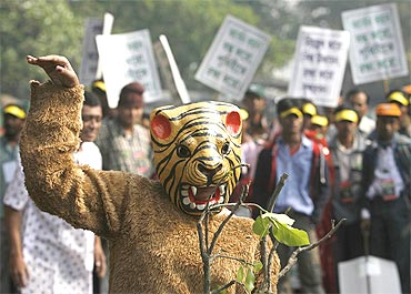 An activist in Kolkata protests against tiger poaching