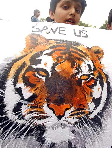 A schoolboy raises his voice against tiger poaching in New Delhi