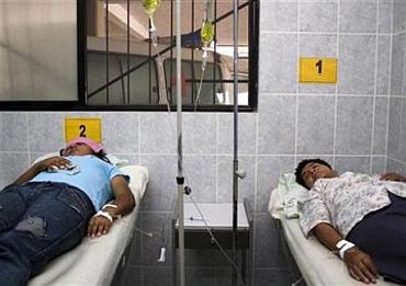 Delhi presses panic button as dengue plagues city