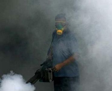 Dengue strikes Delhi: What you MUST know