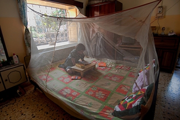 A young girl reads under her malaria net in West Bengal
