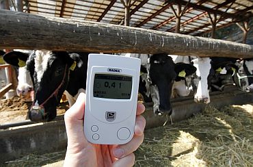 A radiation monitor indicates 0.41 microsieverts per hour at a dairy farm in Shinchimachi, Fukushima Prefecture