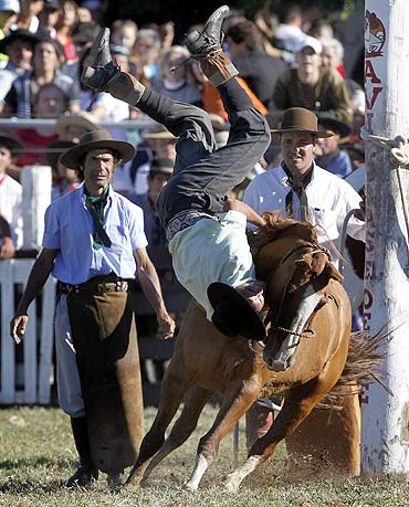 A gaucho is unseated by an untamed or unbroken horse during the event