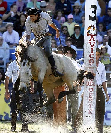 A gaucho rides an unbroken horse in Montevideo