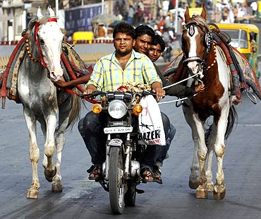 Horse owners on a motorbike as they pull their horses along a road in Ahmedabad