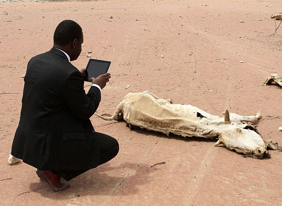 An aid worker using an iPad films the rotting carcass of a cow in Wajir near the Kenya-Somalia border, July 23, 2011