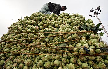 A labourer loads kohlrabi onto a vehicle at a wholesale vegetable market in Jammu