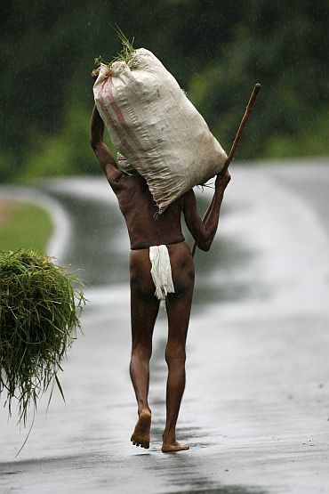 Rs 19k cr relief no relief? Maharashtra, K'taka top farmer suicide table