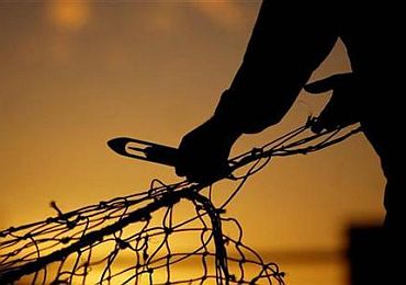 136 fishermen from Tamil Nadu were captured by Sri Lankan fishermen