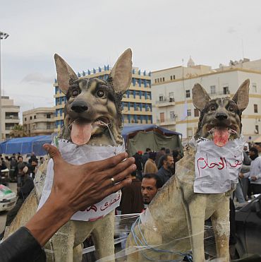 An anti-government protester puts his hand around toy dogs that has the name of Libyan leader Muammar Gaddafi and his son Saif al-Islam