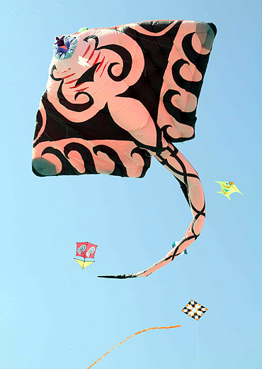 A plethora of Kites in all shapes and sizes were seen at the festival