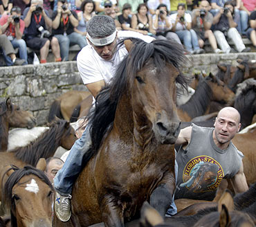 Horse wrestling in Spain