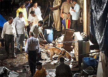 Police use a sniffer dog at the site of an explosion in Zaveri Bazaar