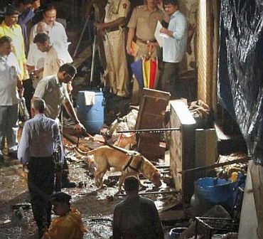 Police use a sniffer dog at the site of an explosion in the Zaveri Bazaar, south Mumbai