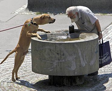 A man and a dog drink water from a fountain during a sunny day in Prague as temperatures hovered over 28 degrees Celsius