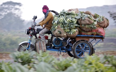 A farmer transports vegetables on an improvised tricycle towards a wholesale market in Kolkata