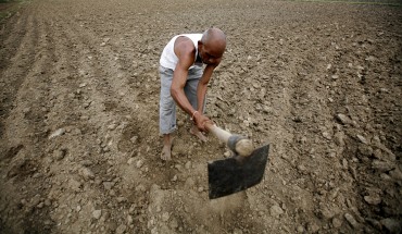 A farmer ploughs a field at a village