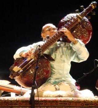 Rudra veena on sale