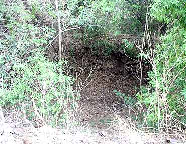 The area on Dr Munde's compound where a foetus was found on June 18