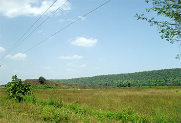 Madhya Pradesh has 95,411 sq km forestland