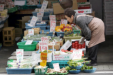 A vendor looks at vegetables at a greengrocery in Tokyo