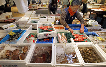 Wholesaler Haruo Shinozaki works at his shop in the Tsukiji fish market in Tokyo