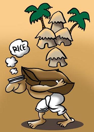 The burden of rice