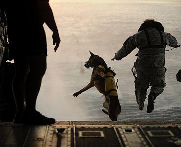 They have been trained to jump from aircraft at 25,000ft